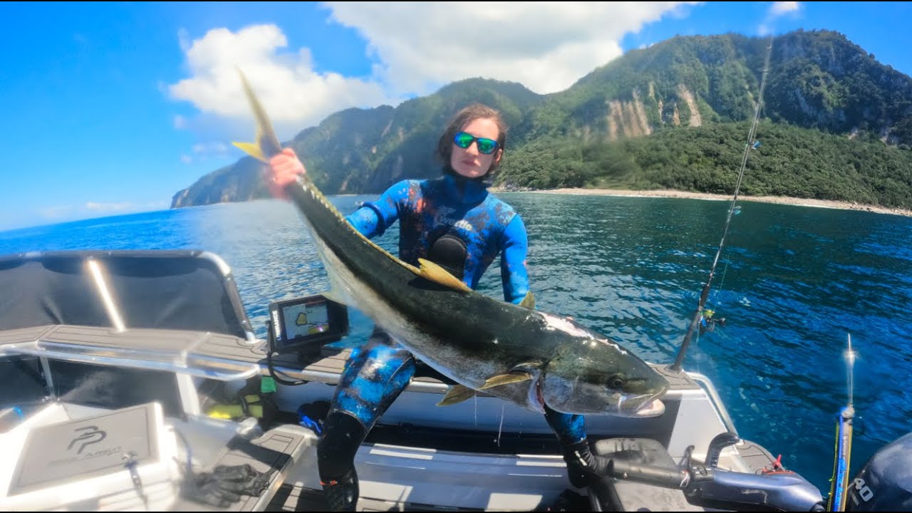 Little Barrier // Big Kingfish 