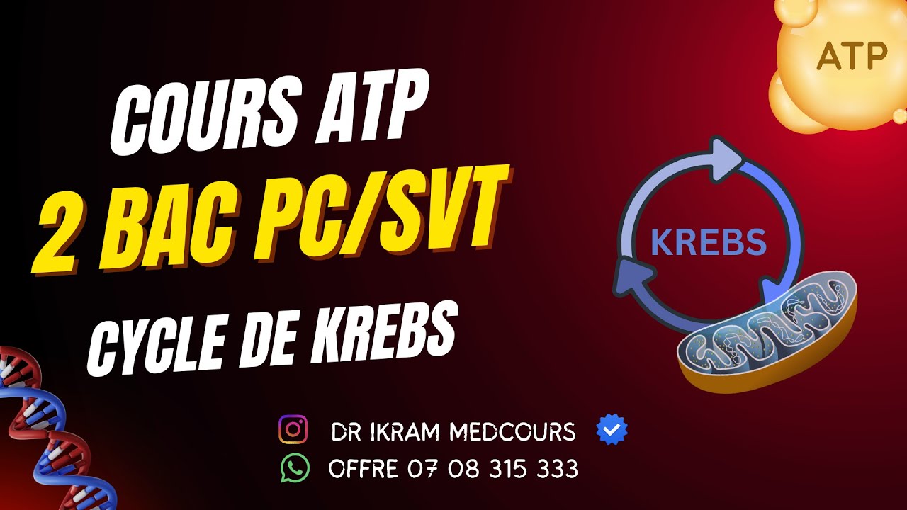 CYCLE DE KREBS ATP-Réactions responsables de libération d'énergie de la matière organique 2 BAC BIOF