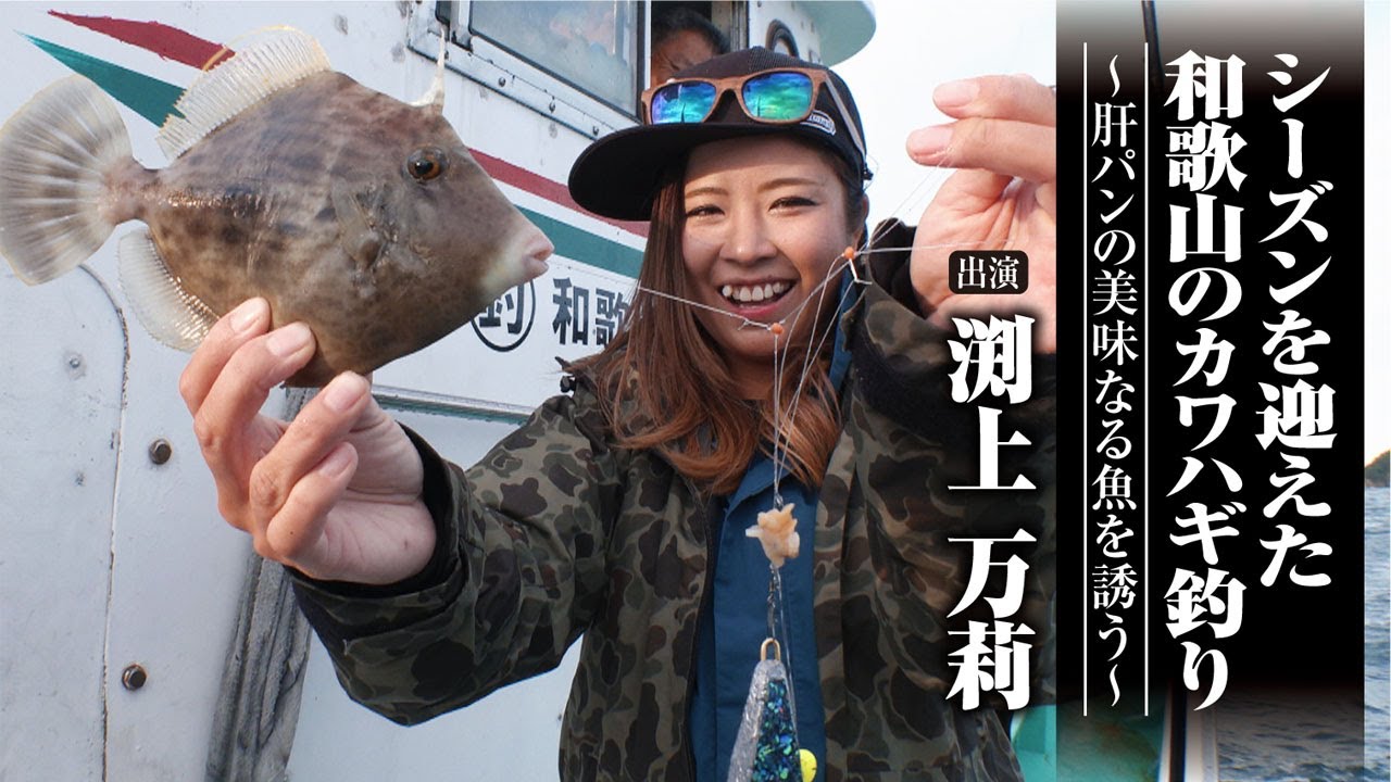#541 シーズンを迎えた和歌山のカワハギ釣り〜肝パンの美味なる魚を誘う〜