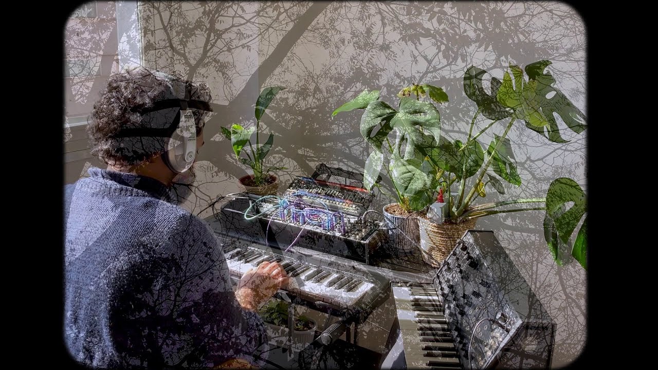 the susurrations of trees - ambient synth jam