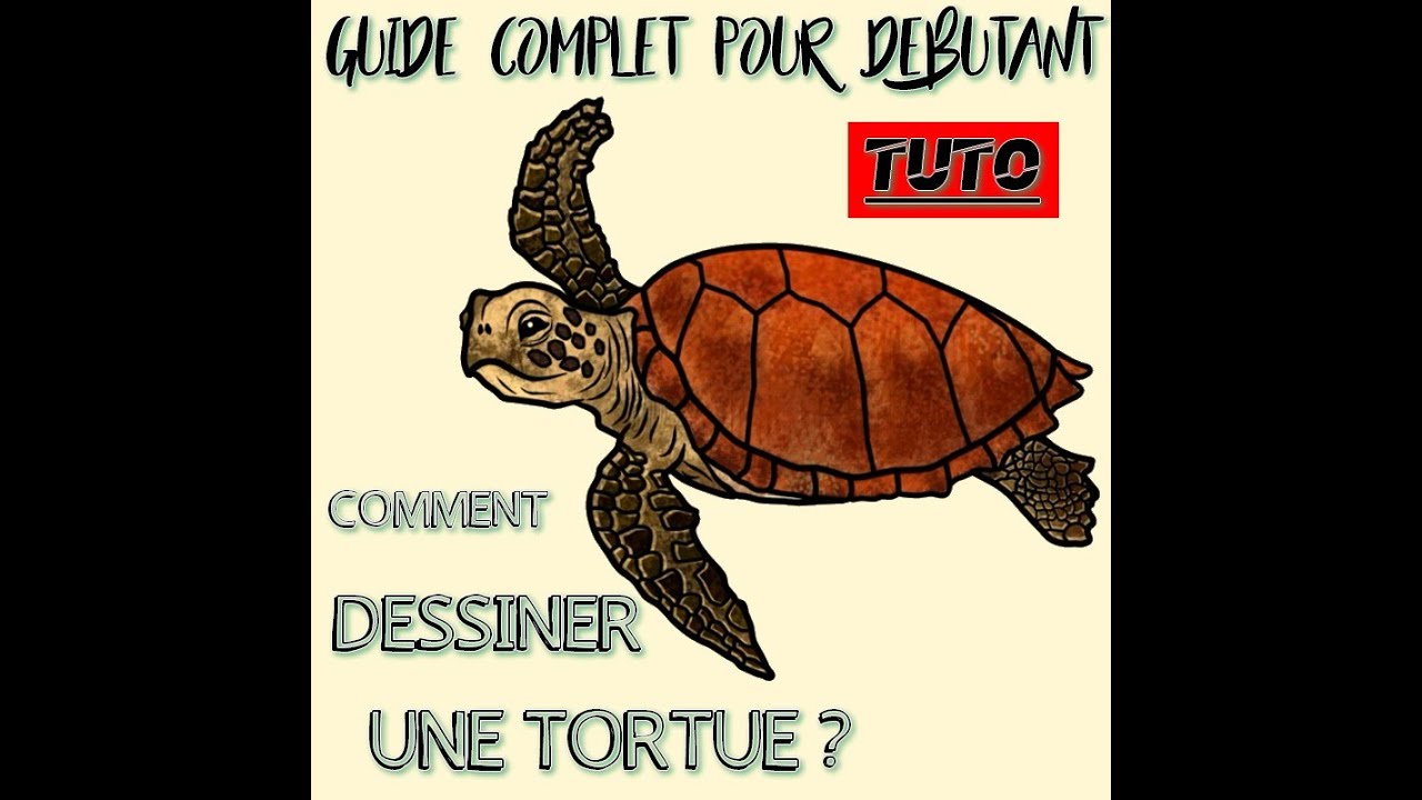 Comment dessiner facilement une tortue de mer TUTORIEL