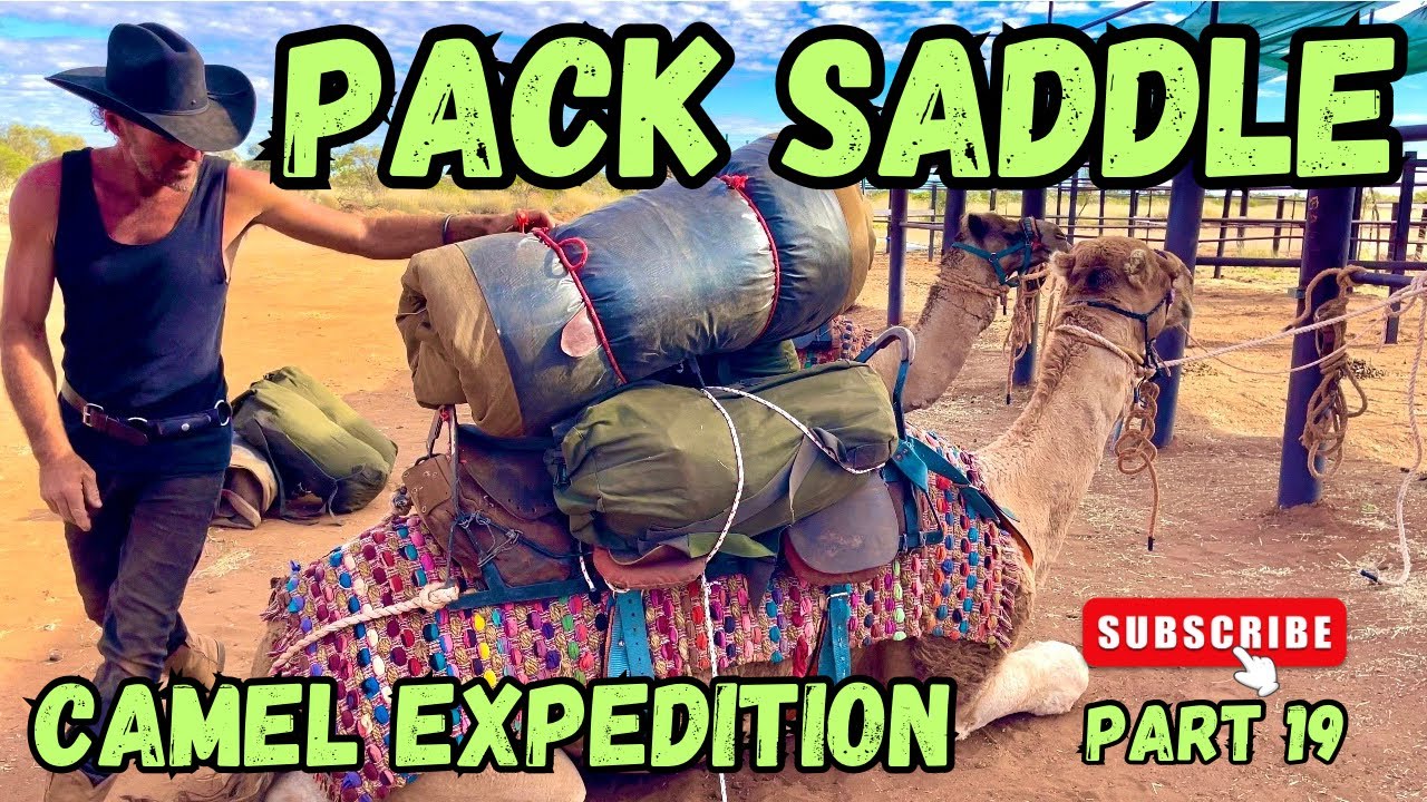 Camel expedition. Part 19. Pack saddle.