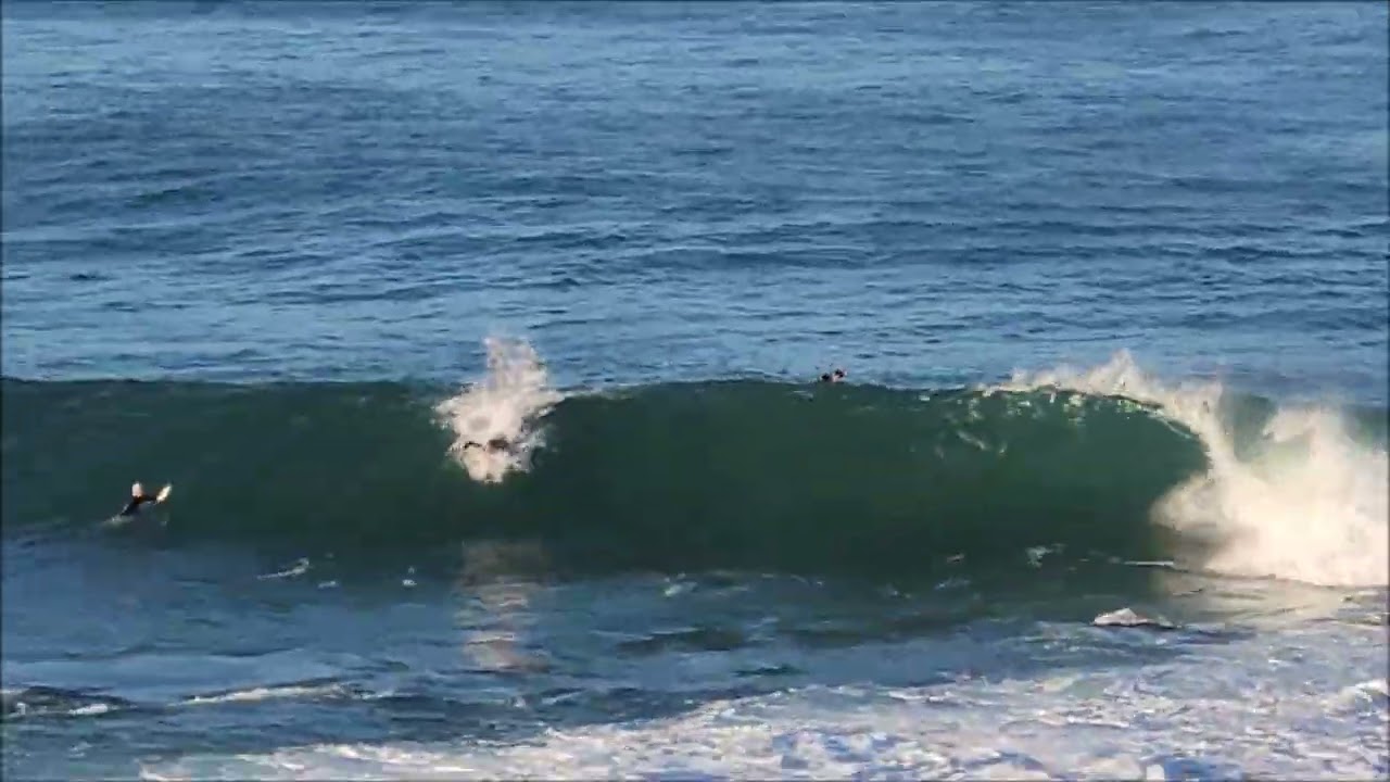 Surfing Forster NSW