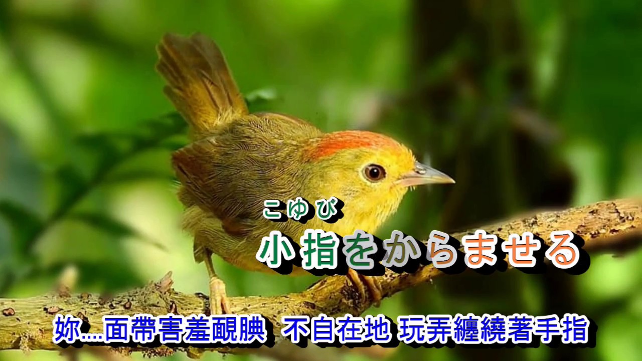 倖せさがして***字義版