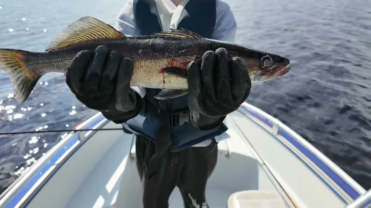 Kala reissu Jänisselällä