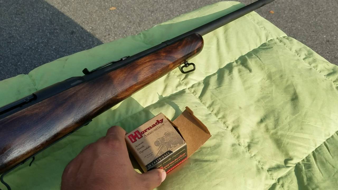 New Bang Bang project! 22 hornet and CZ52