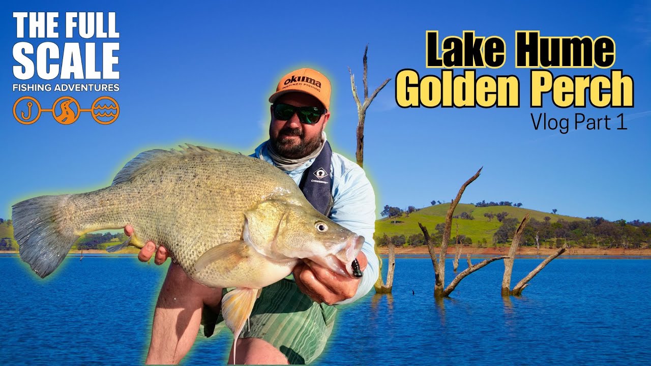 Lake Hume Golden Perch | Vlog Part 1 | The Full Scale