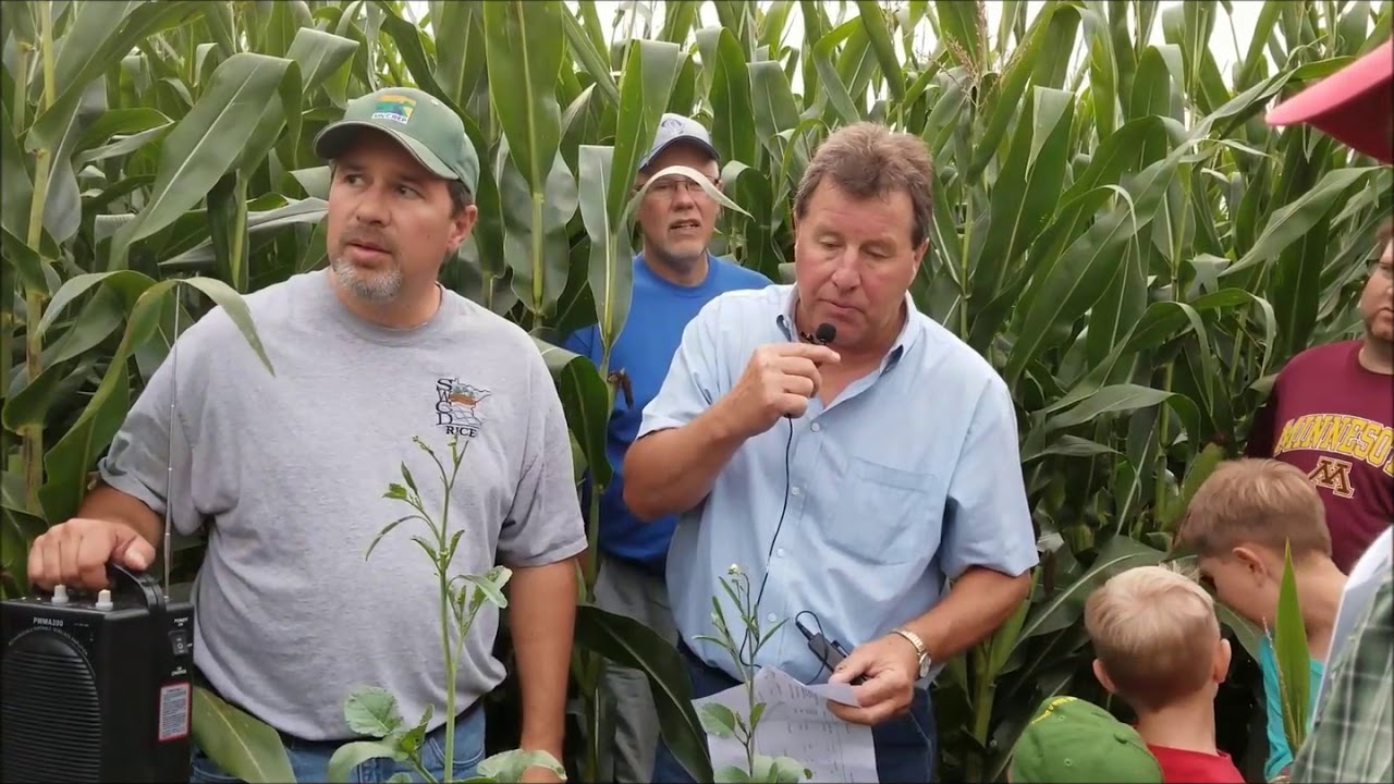 Interseeding Cover Crops into Corn - Comparing 60