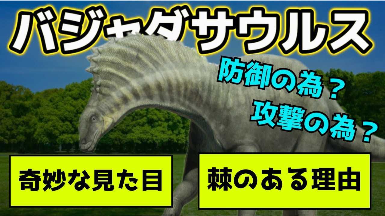 そのは棘は何に使った？バジャダサウルスを徹底解説！