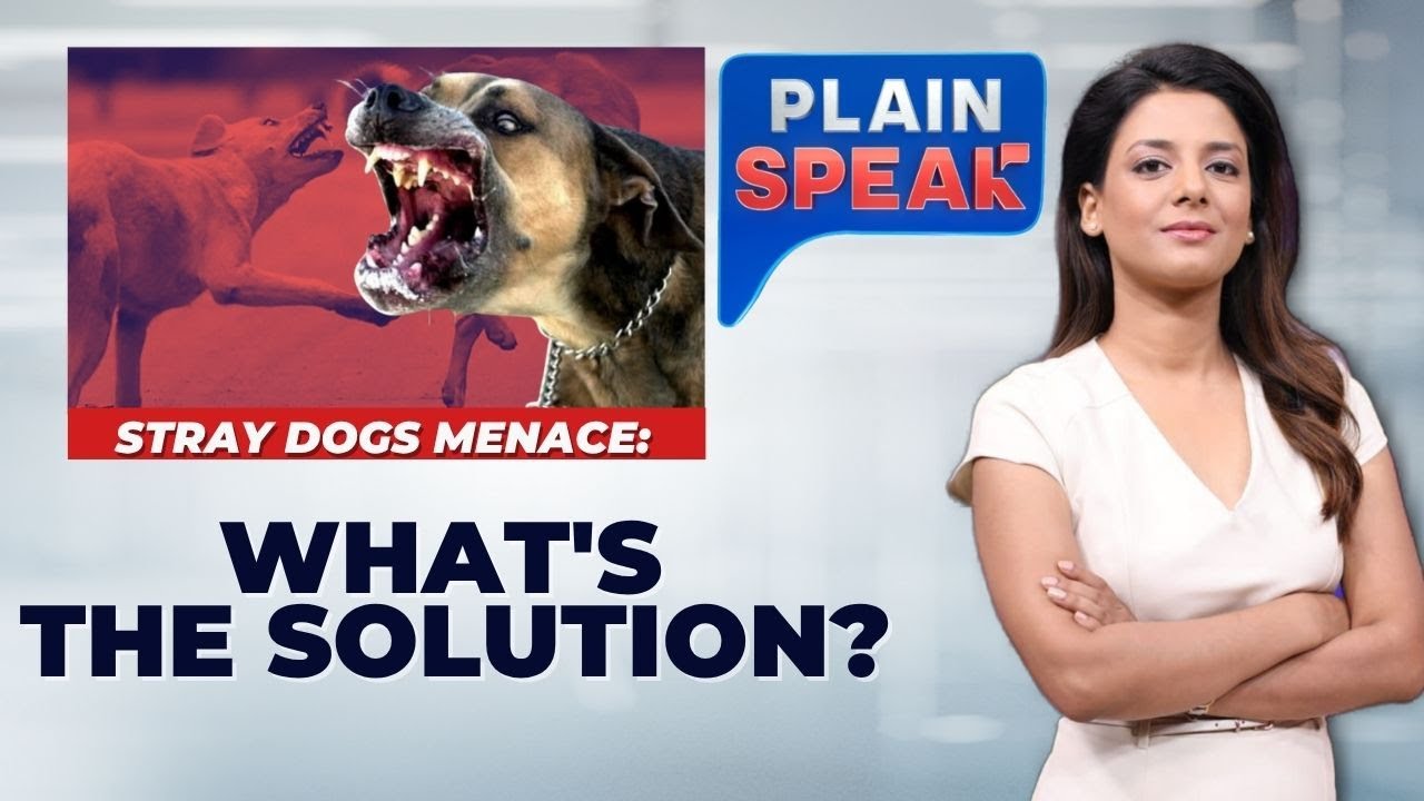 Kerala's Stray Dog Policy Sparks Debate Amid Rising Bite Cases and Rabies Concerns | Plain Speak