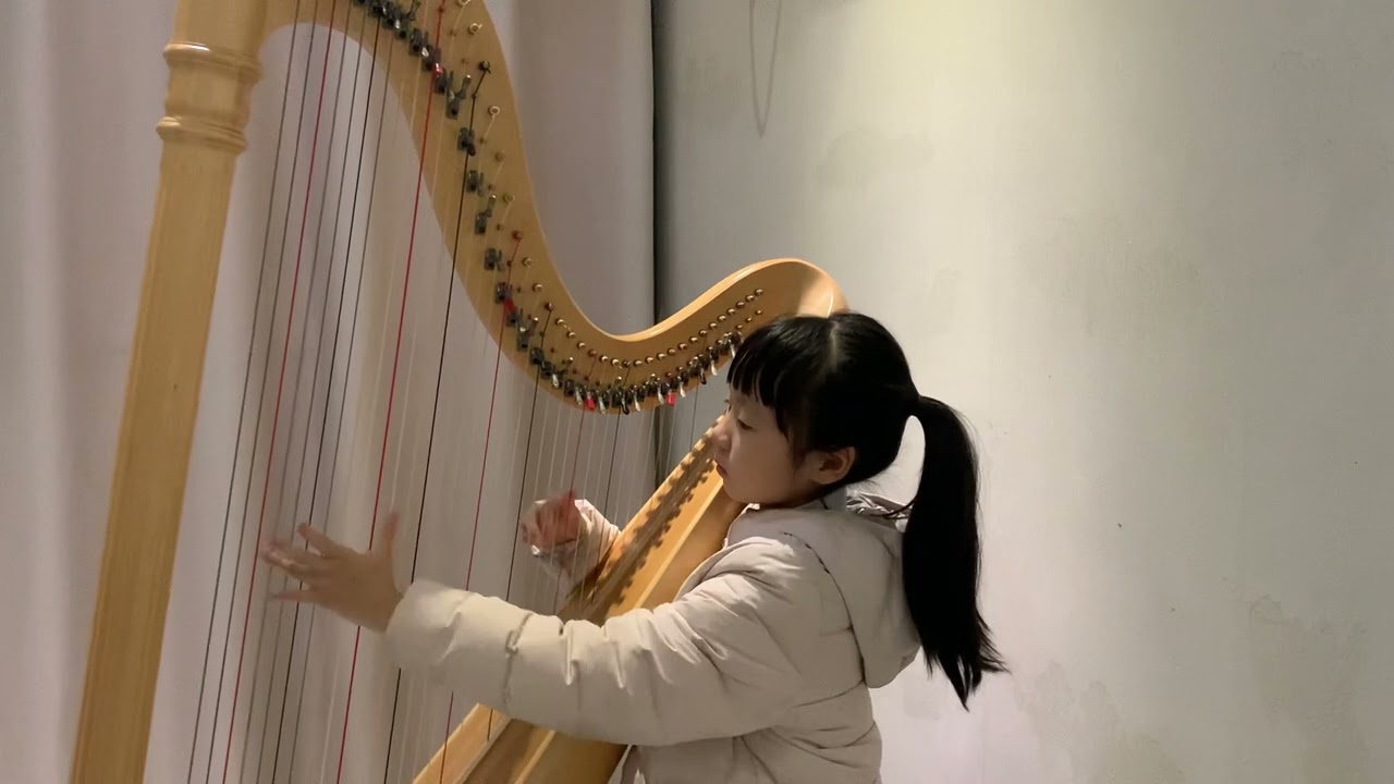 milonga para amar（Alfredo Rolando Ortiz）harp / wang chenxi