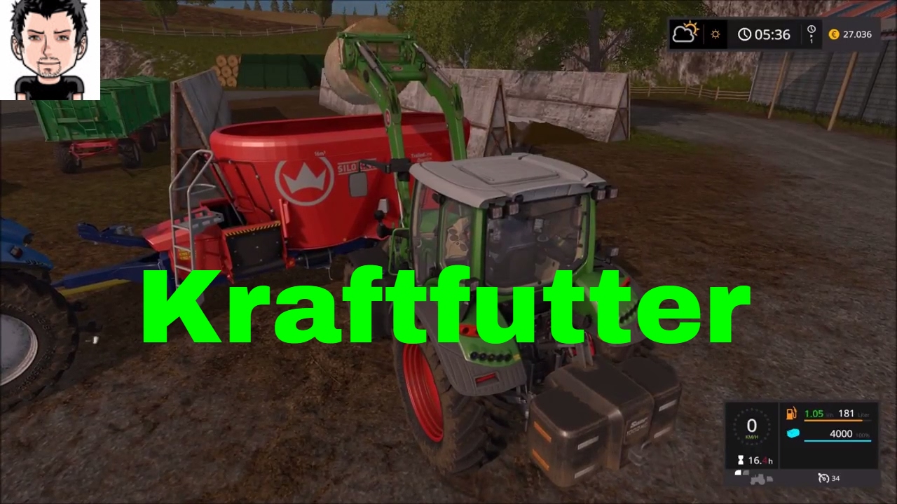 LS 17 Irgendwo in Thüringen #013 Kraftfutter für die Kühe Landwirschafts Simulator 17