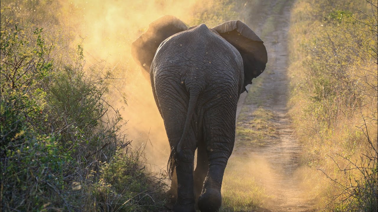 2024 in review and Greetings from the THULA THULA WILD TEAM