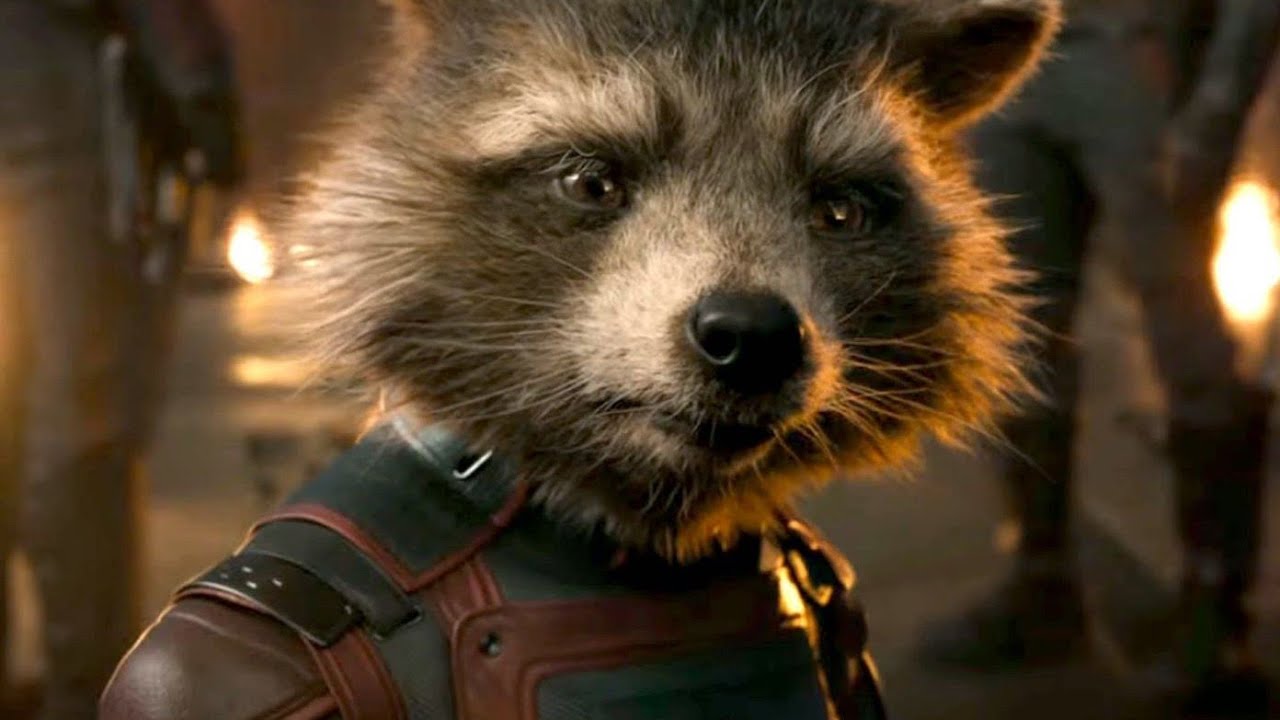 Rocket Raccoon TikTok Edits SPOILERS Because He's My Favorite Guardian