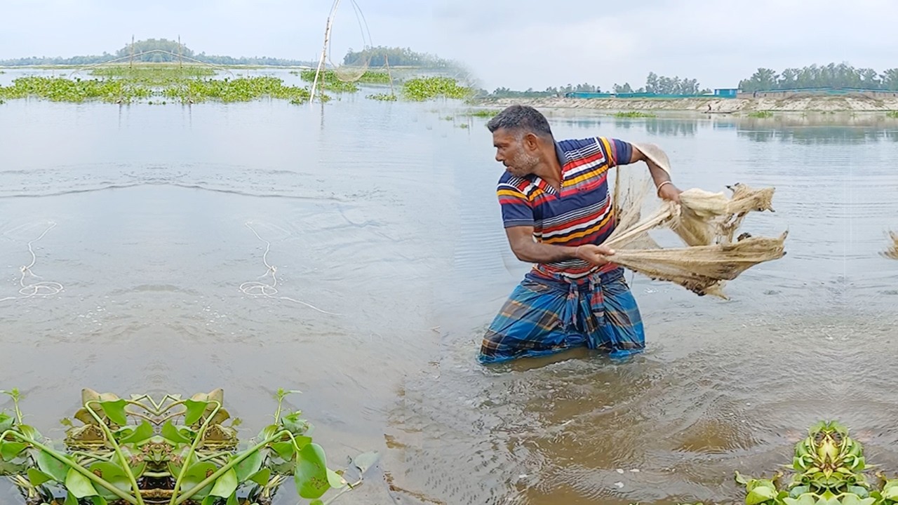 Amazing Village Cast Net Fishing Video - Traditional River Fishing - Old Fisherman Net Fishing