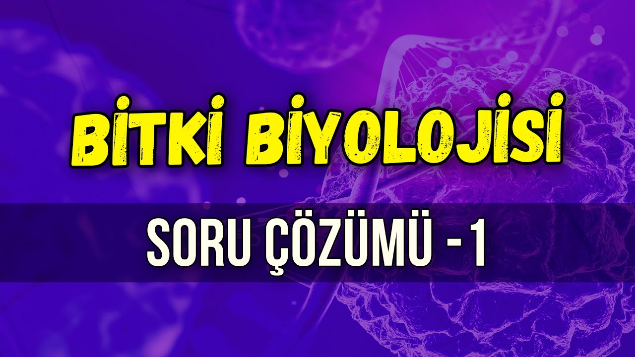 BİTKİ BİYOLOJİSİ SORU ÇÖZÜMÜ | Seda Hoca Biyoloji 🧬 #ayt2024