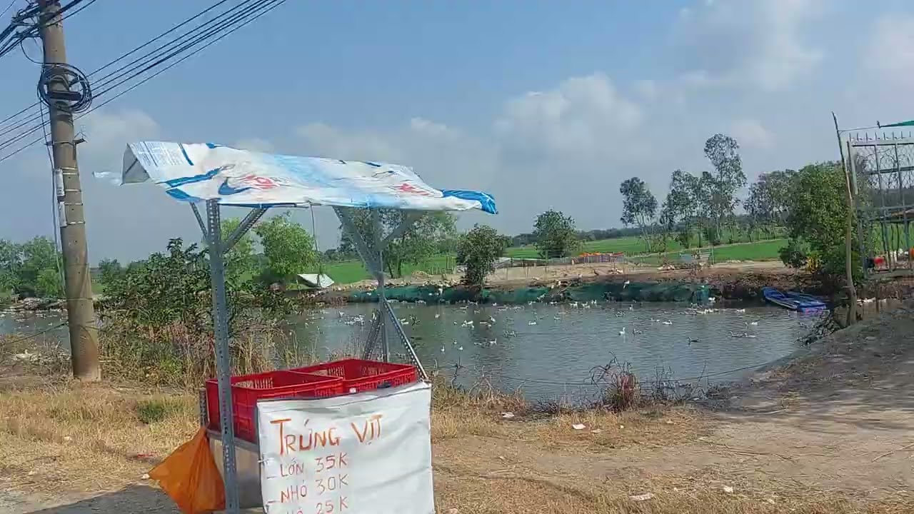 Cầu xi măng đi vào Xóm mồ côi hay còn gọi là Xóm voi 