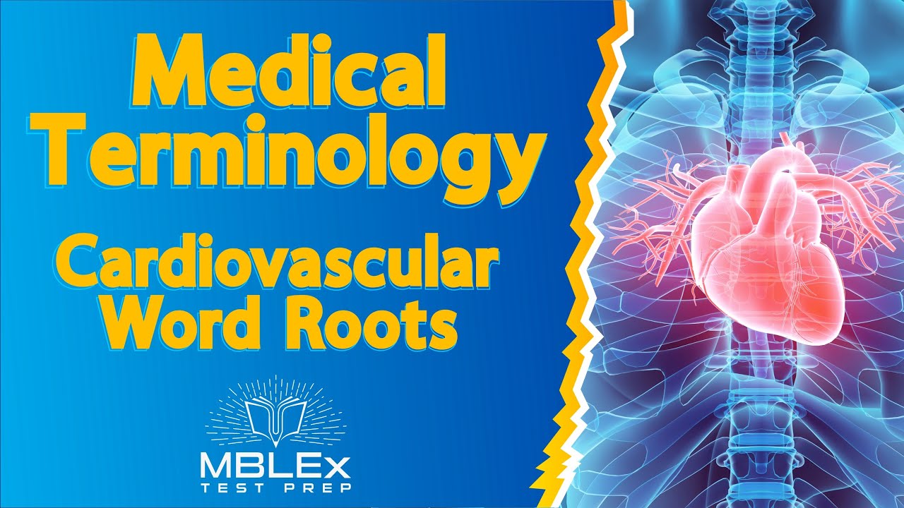 Medical Terminology - Cardiovascular Word Roots