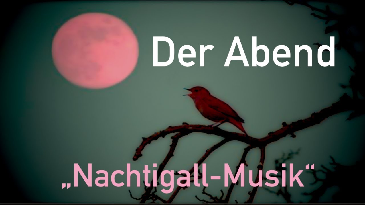 Abendmusik mit Nachtigall - den Tag in Ruhe beenden