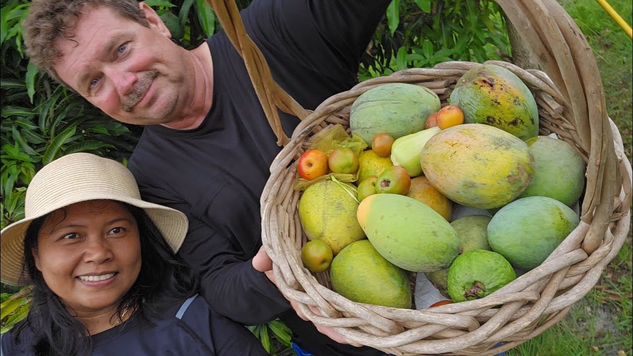 Parehong Harvest: Mangga, siguela at Green Wax jumbo