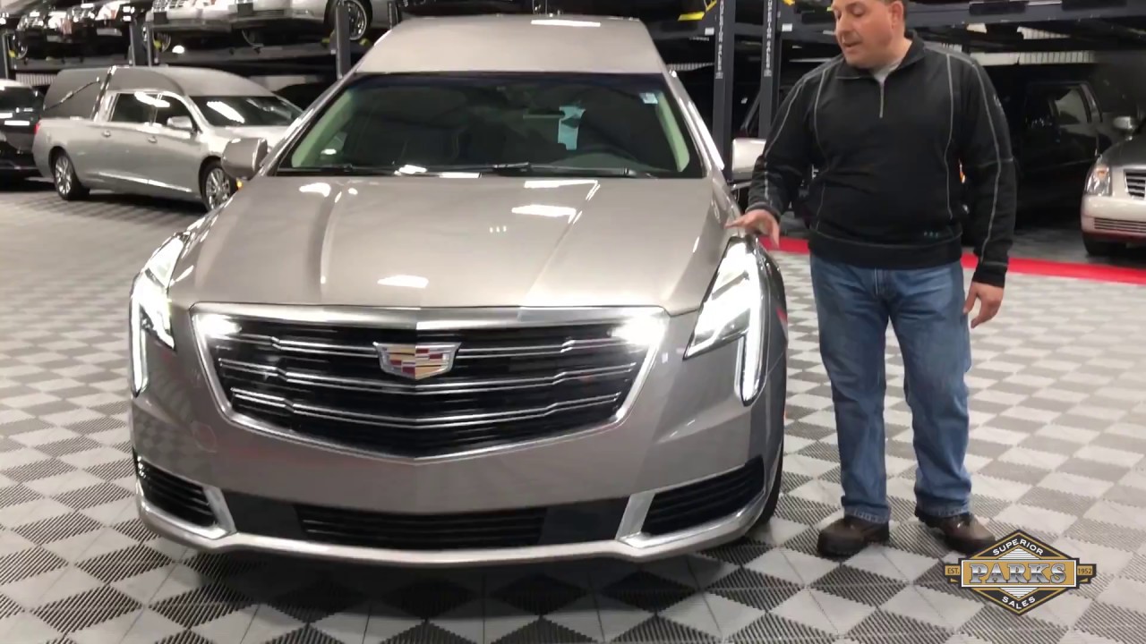 2018 Platinum Phoenix -Fawn Gray