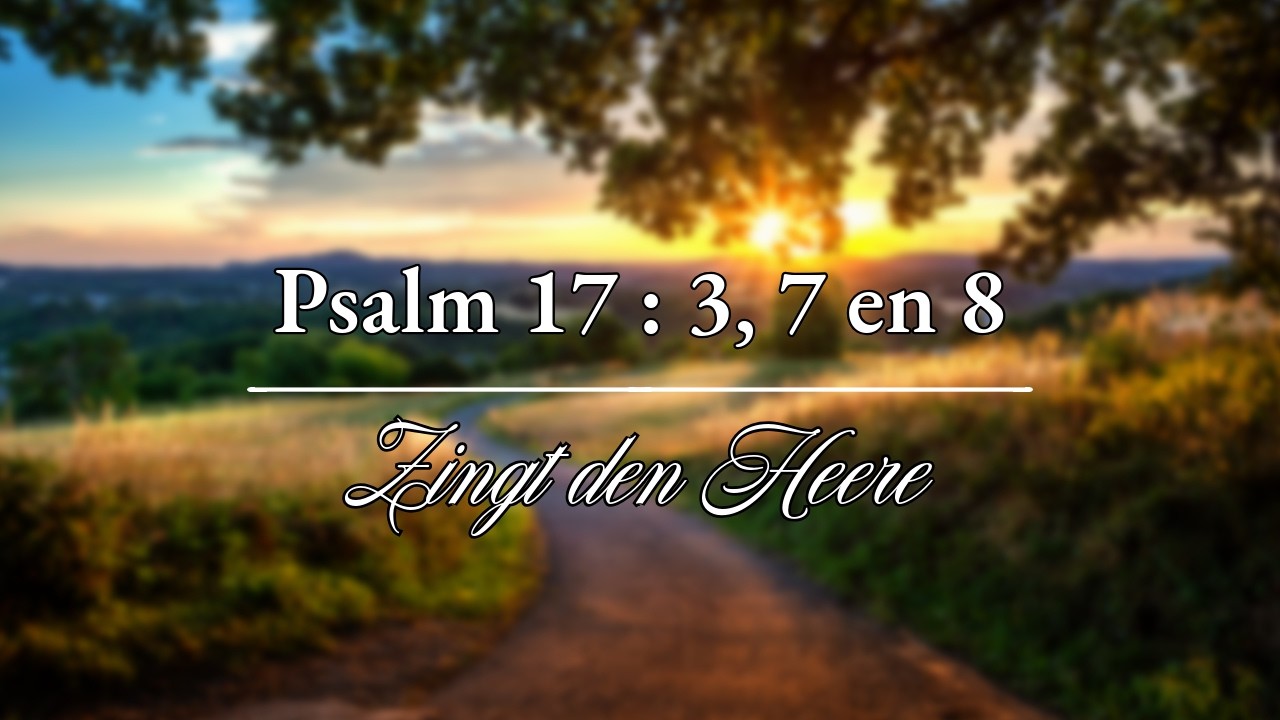 Psalm 17 vers 3, 7 en 8 (Niet-ritmisch) - Psalmbegeleiding op orgel