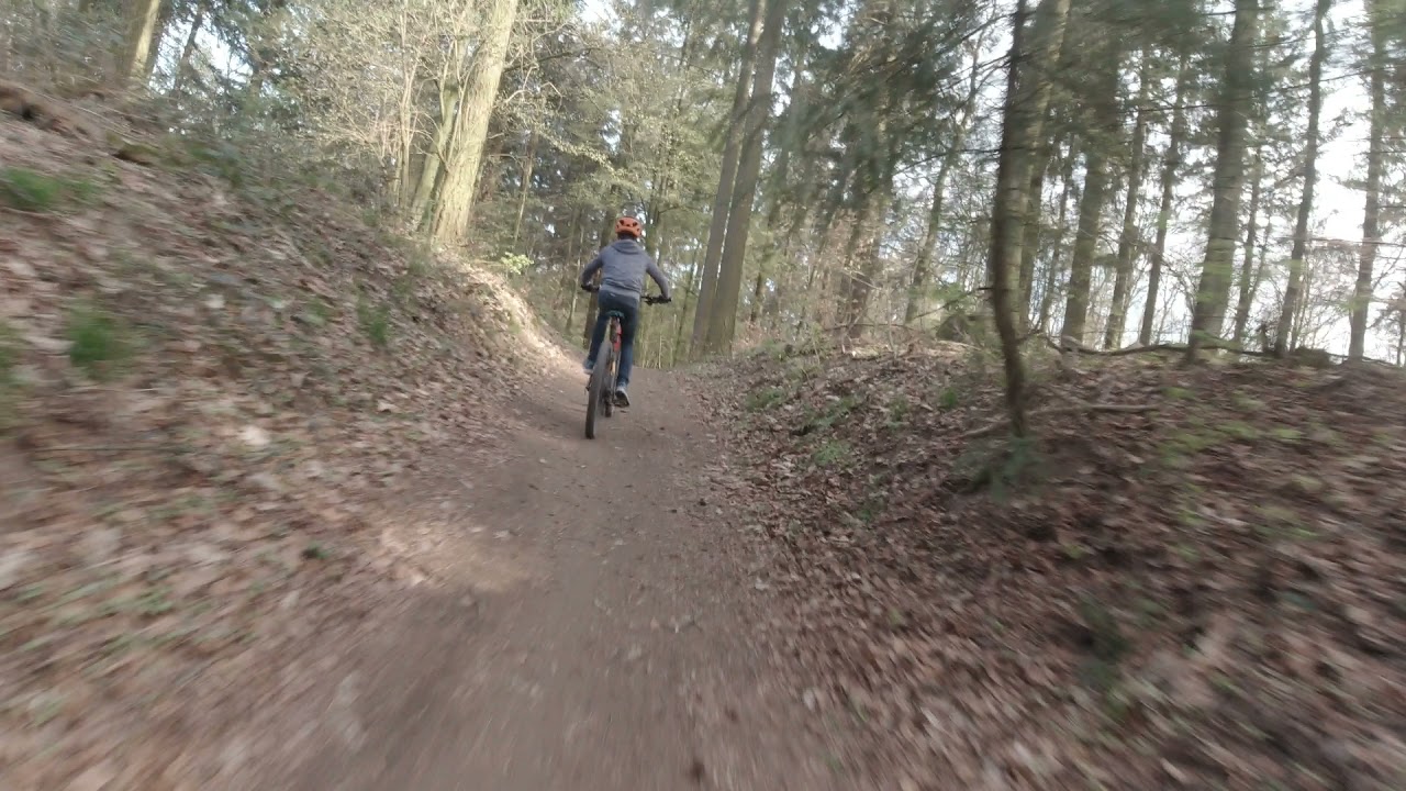 Hemsbach-Trail steinerner Gaul