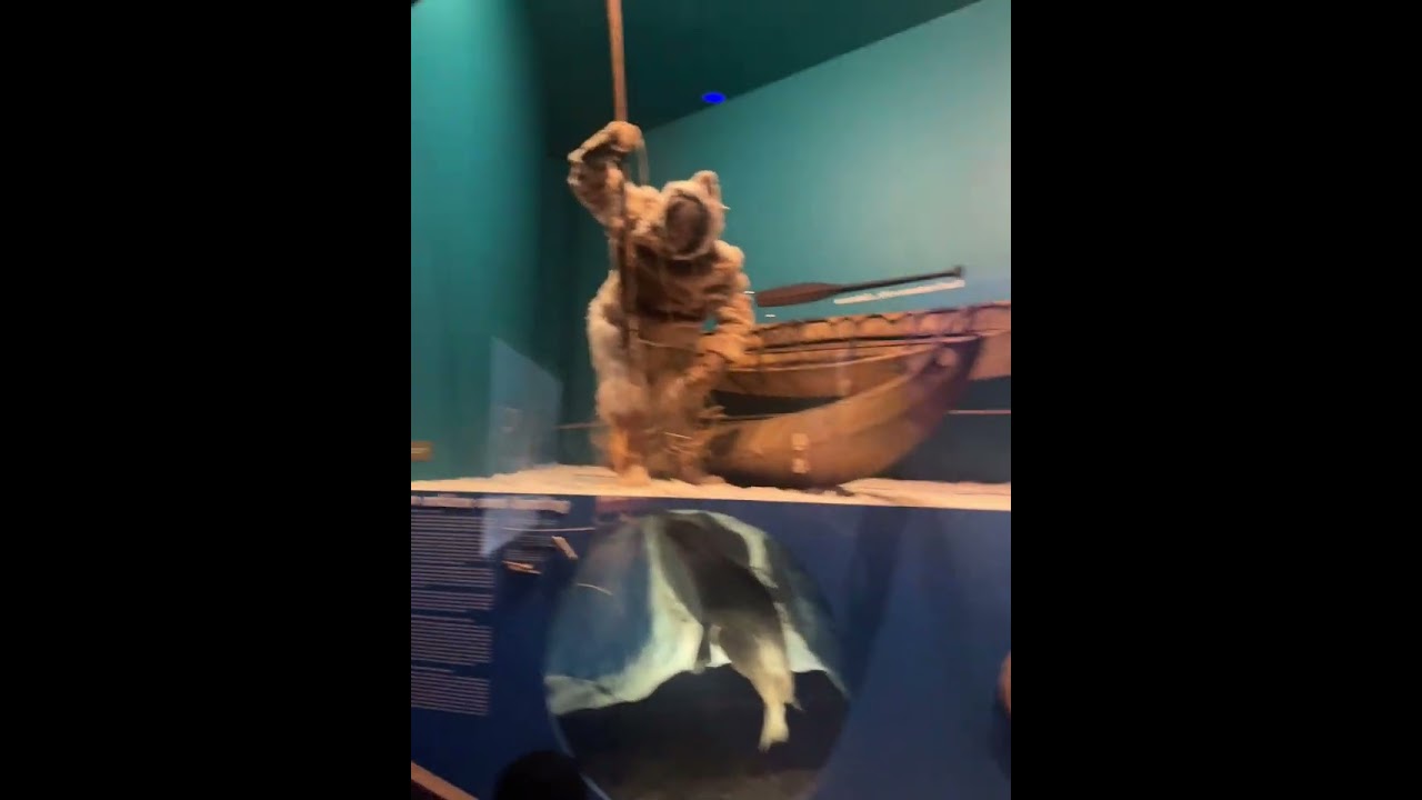 Adventure at the Milwaukee Public Museum📍what was your favorite part of the journey? #museum 