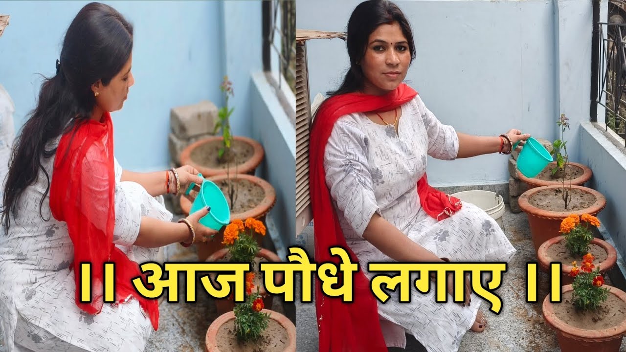 ।। दोस्तों आज हमने घर पर फूल के पौधे लगाए 🪴।। 