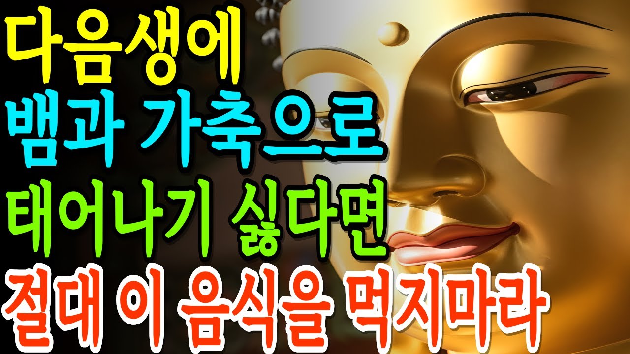목에 칼이 들어와도 절대 이 음식을 먹지마라. 짐승으로 환생하는 사람의 공통점 | 부처님지혜 | 부처님말씀 | 석가모니명언 | 석가모니가르침 | 불교철학 |
