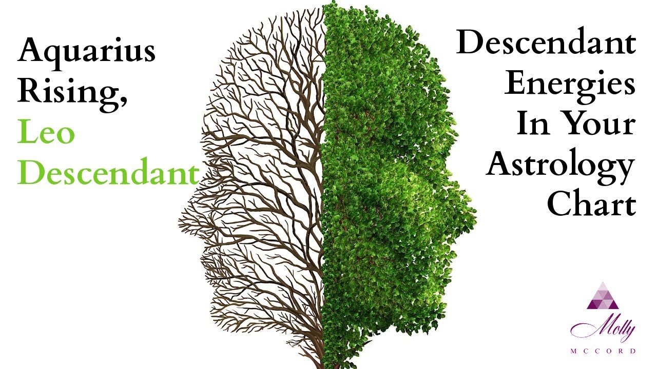A Deeper Look at Your Leo Descendant - Aquarius Rising - Astrology