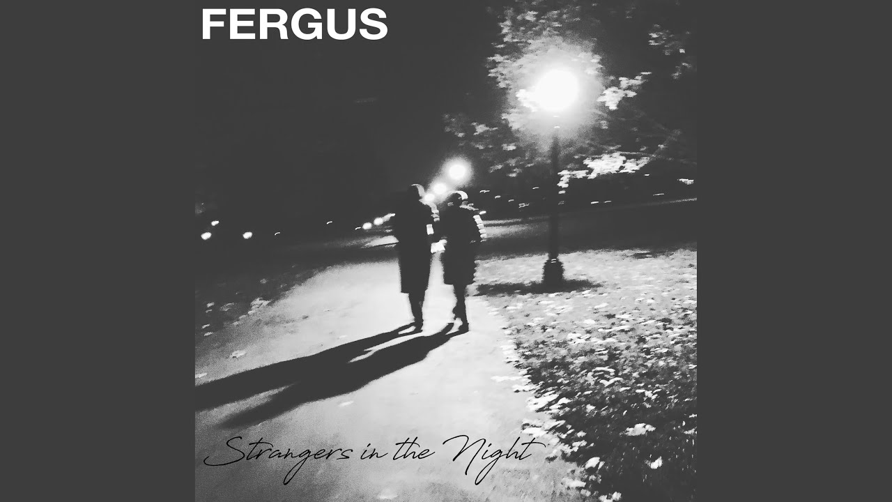 Strangers In the Night