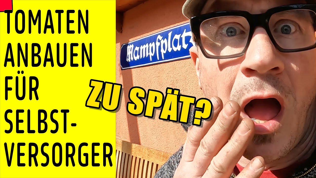 Tomaten jetzt aussäen, vorziehen und pikieren