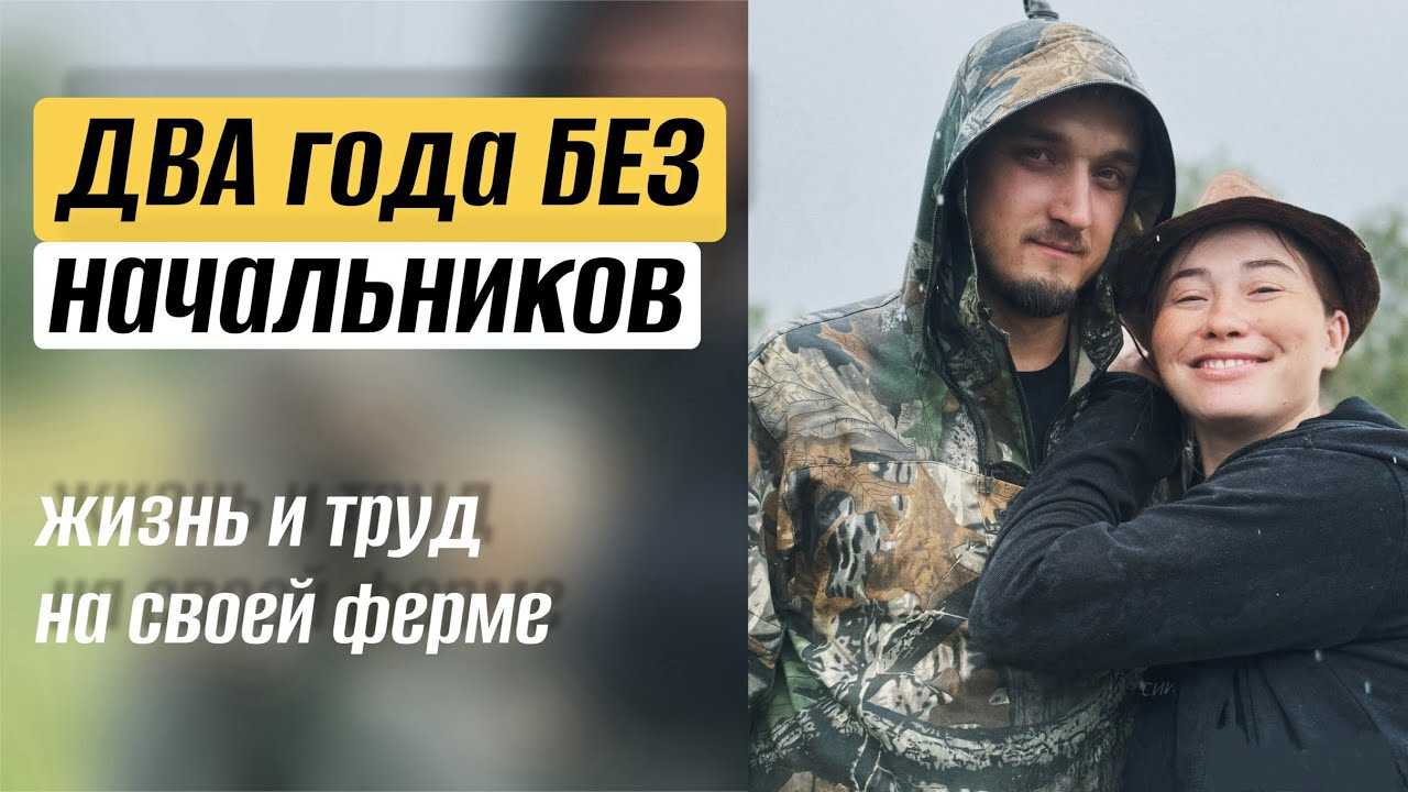 Итоги второго года работы на себя: главный события, планы