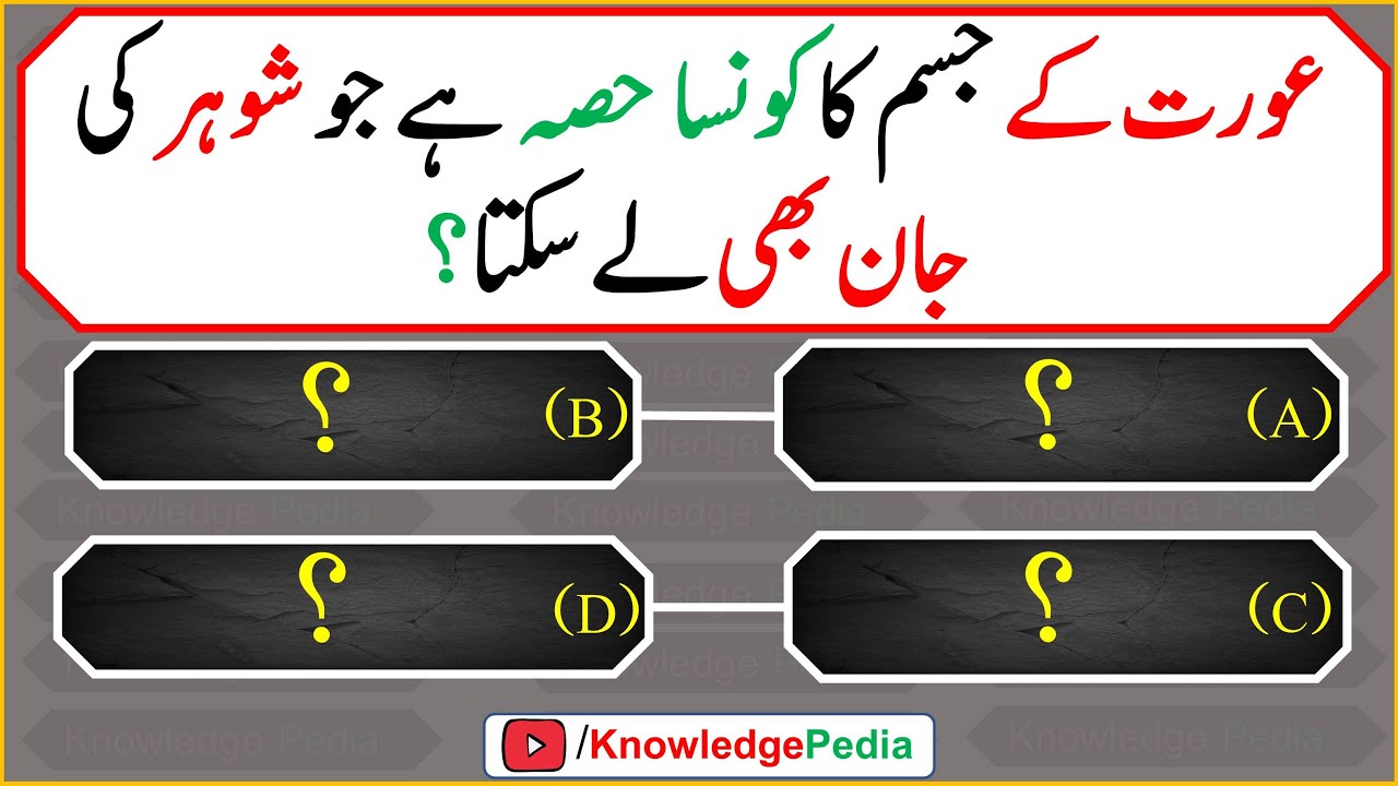 Maloomat Ki duniya Islamic paheliyan | islami Urdu questions | Quiz Episode #451