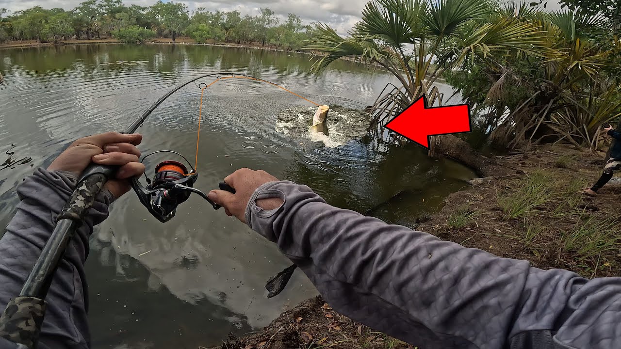 Fish Were EVERYWHERE in This WATERHOLE. Remote Cape York Australia