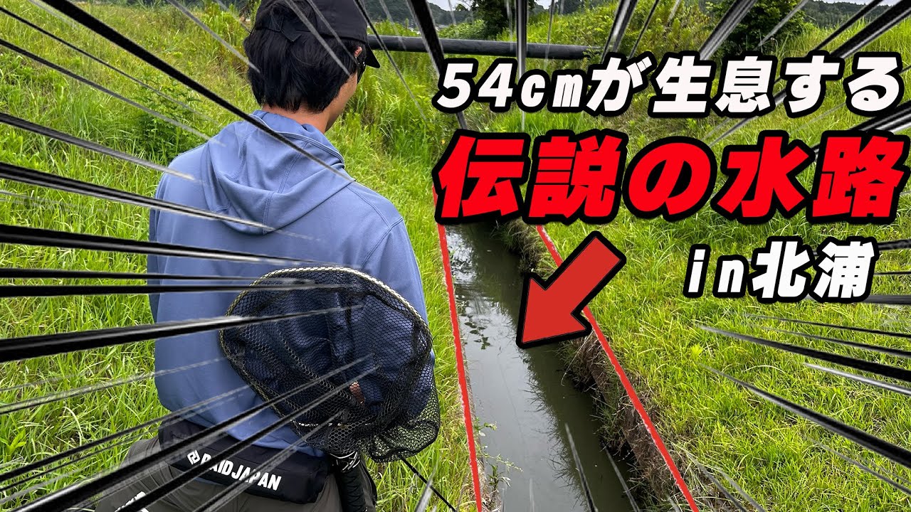 【霞ヶ浦バス釣り】晩夏の水路調査&攻略法！