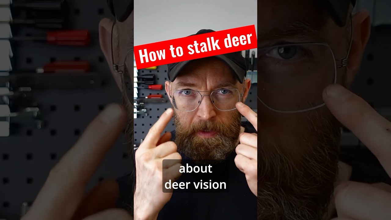 How to stalk deer - 3S model #deerstalking #deerhunting #huntingtips