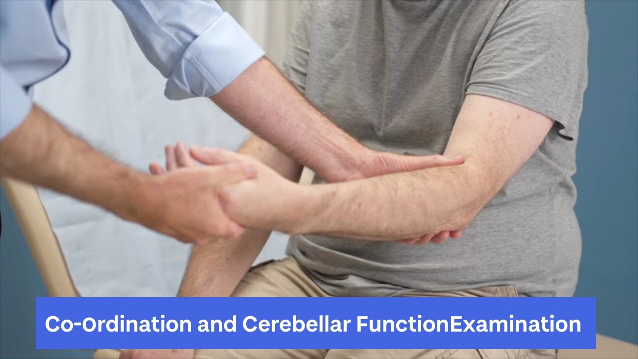 Coordination Cerebellar Function