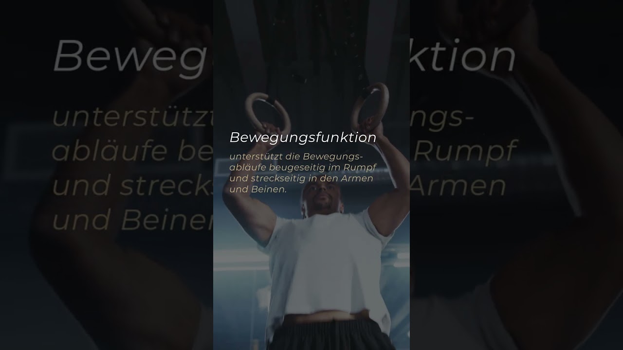Muskelketten erkl&auml;rt - Vordere Muskelkette!  #shorts
