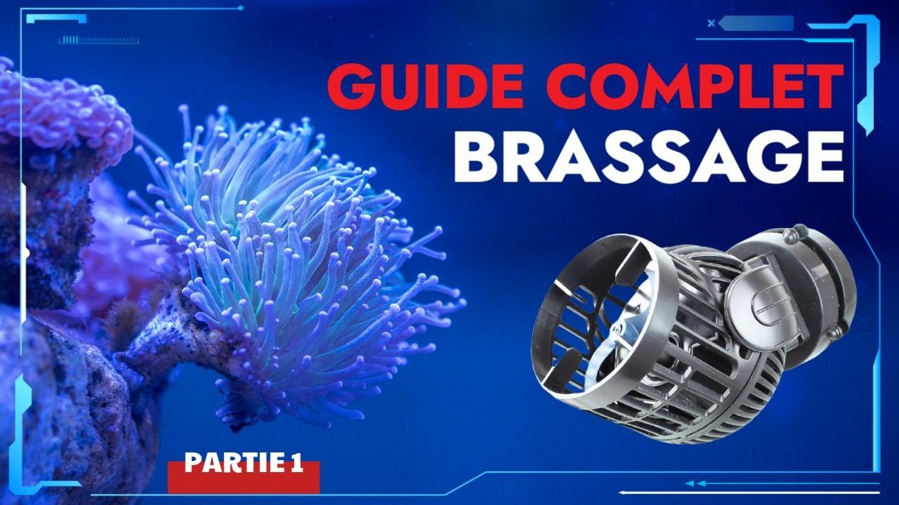 Tuto Pompe de brassage aquarium récifal - Quelle pompe de brassage choisir aquarium eau de mer - 1/2