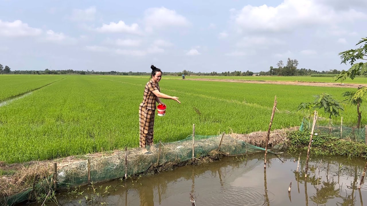 Thêm 1 Món Ăn Mới Ai Ngán Cá Ngán Thịt Hãy Làm Món Này .