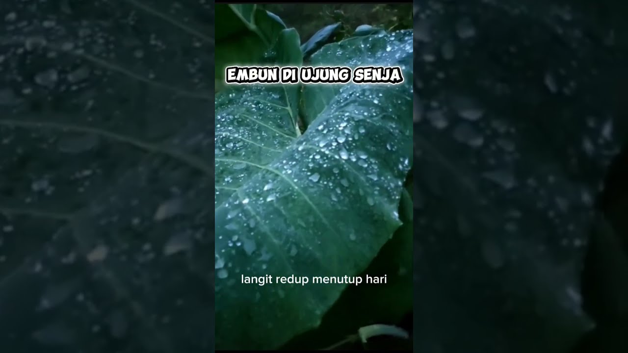 Embun Di Ujung Senja | Original Full Lirik​ Lagu Lawas #lagulawas #laguviral #embundiujungsenja 