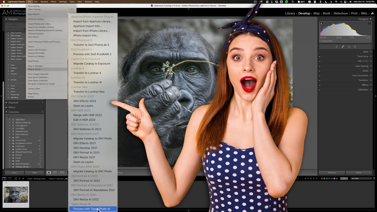 Another Way to Use a PLUGIN With LIGHTROOM