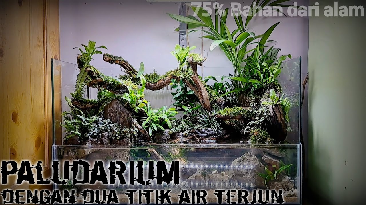 step by step membuat paludarium waterfall menggunakan batu kali