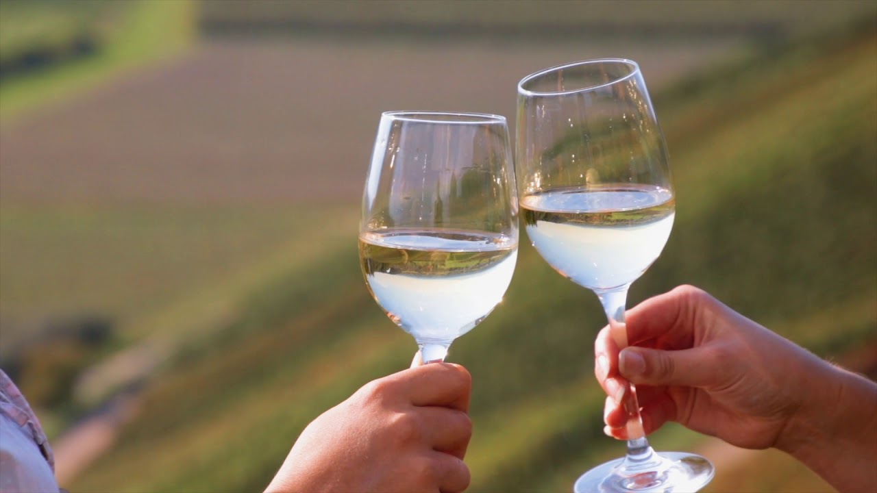Waldkirch genießen -  ein Spaziergang durch die Weinberge