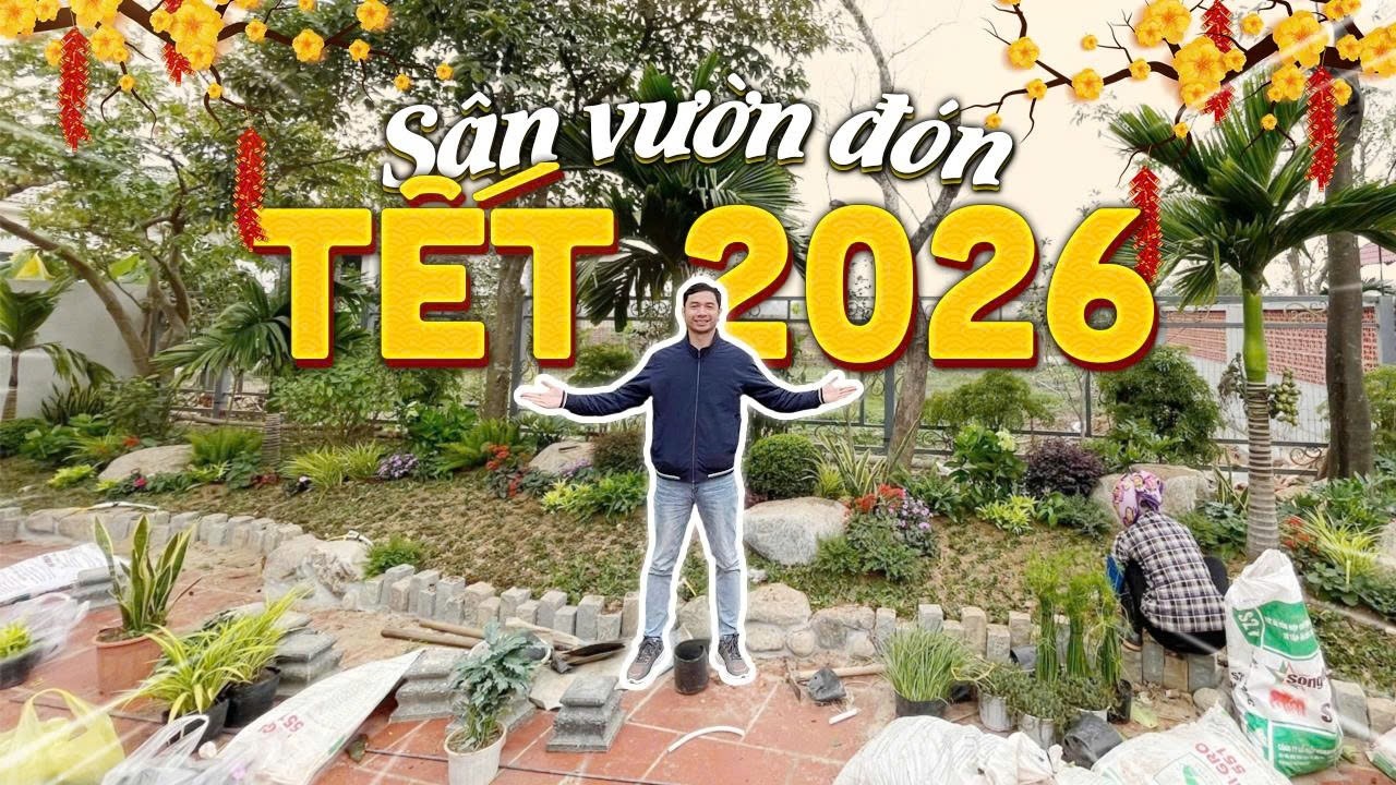 Gấp Rút Hoàn Thiện Sân Vườn Đón Tết 2026