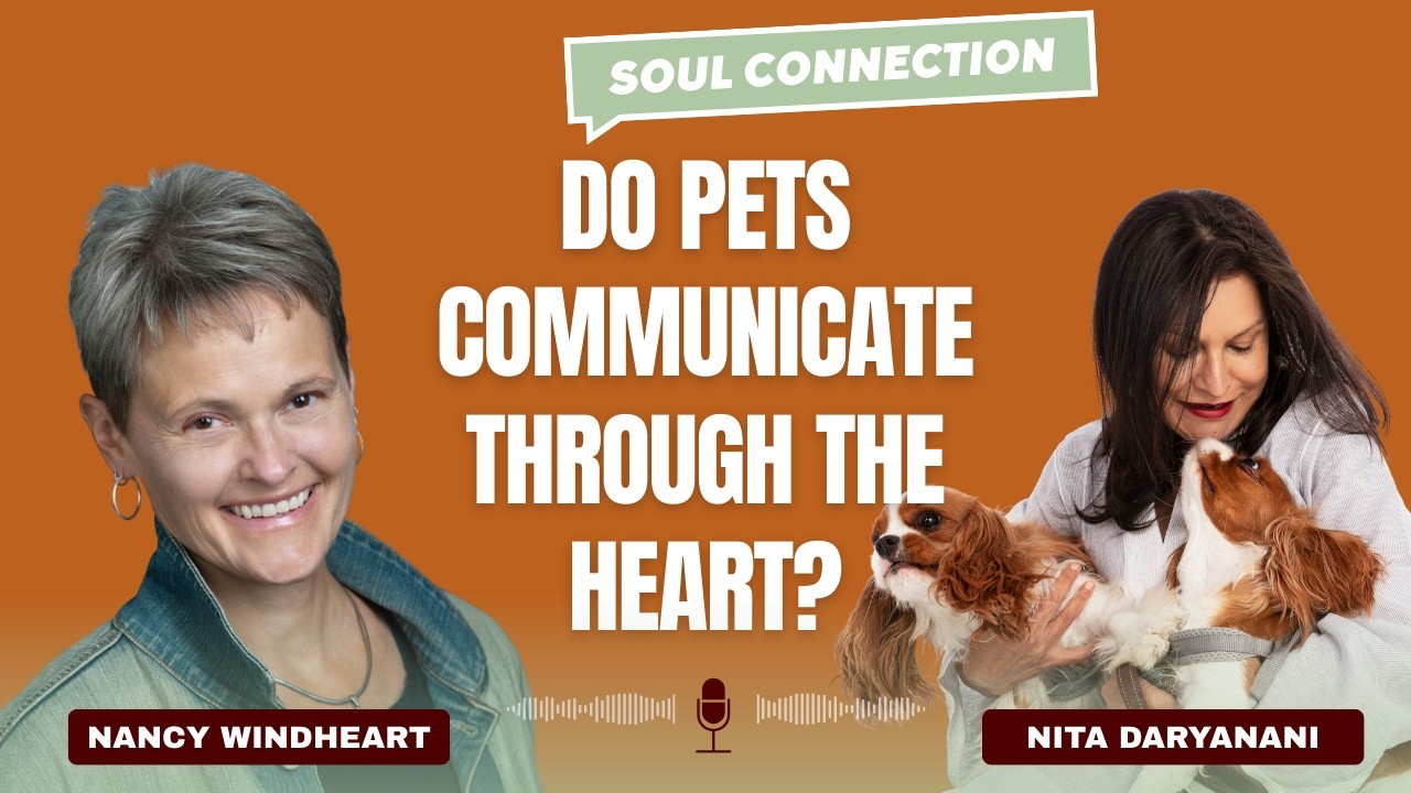 Do Pets Communicate Through the Heart? Nancy Windheart Explains