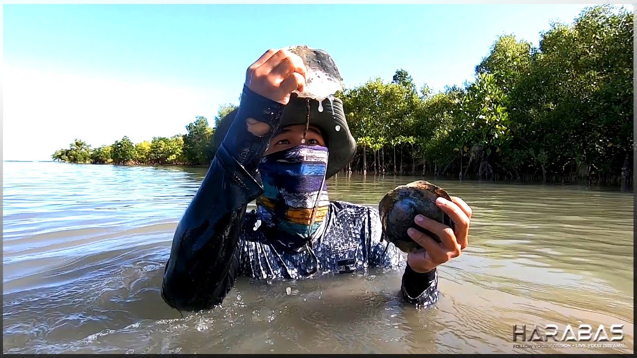 EP279-Part1 - Alimango, Litog at Capiz | Catch 'n Cook | Occ. Mindoro