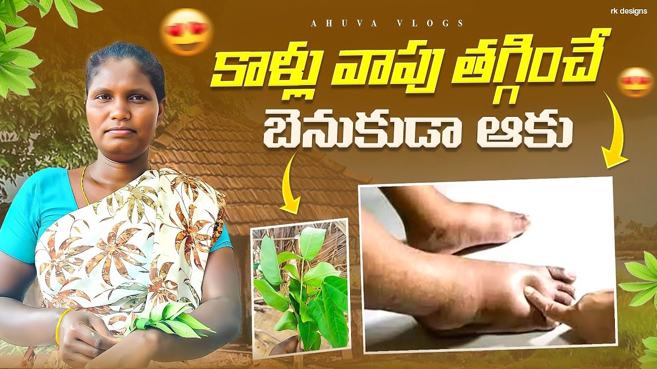 కాళ్లు వాపు తగ్గించే బెనుకుడాఆకు 🌿#vlog#